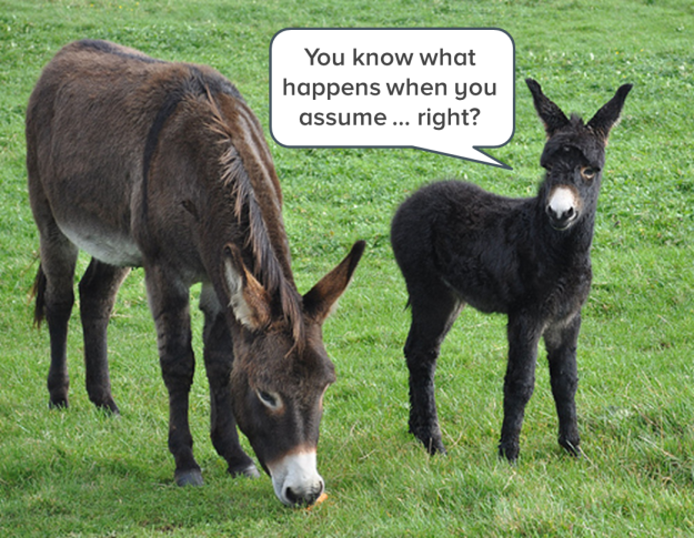 donkeys-who-assume
